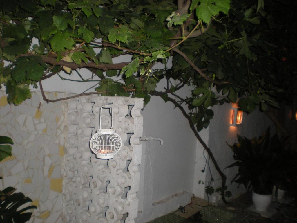 Manolis' House Aparthotel Skiathos-stad Buitenkant foto