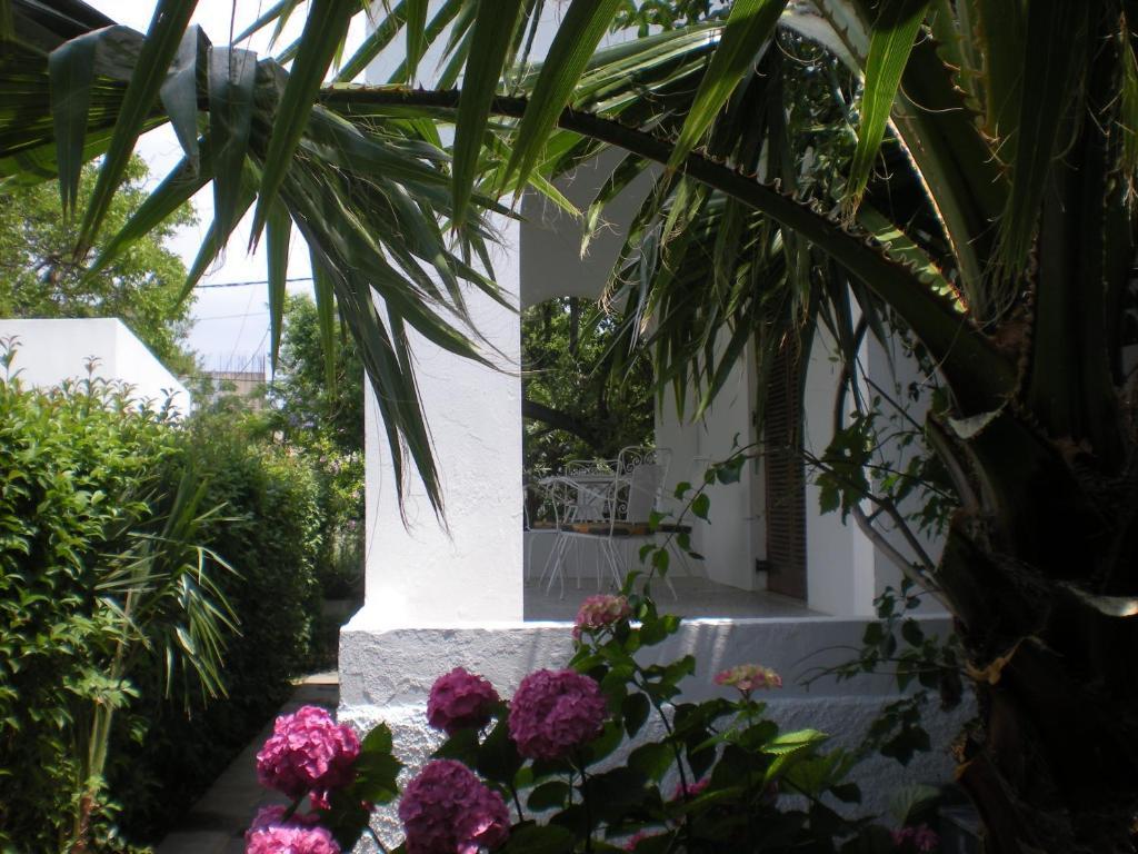 Manolis' House Aparthotel Skiathos-stad Kamer foto