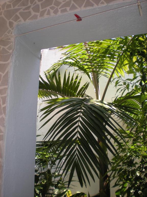 Manolis' House Aparthotel Skiathos-stad Buitenkant foto